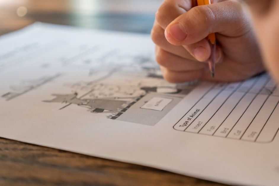 Practice with BISE Faisalabad Education Past Paper 2018 Morning Session – Real Exam Format