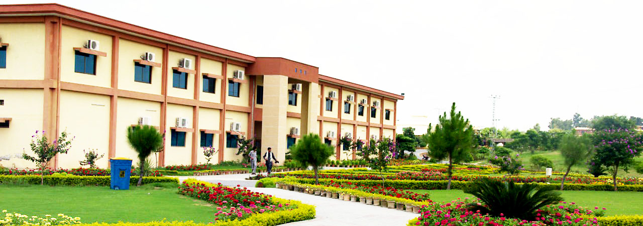 Alhamd Islamic University