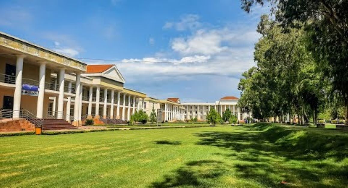 University of Haripur