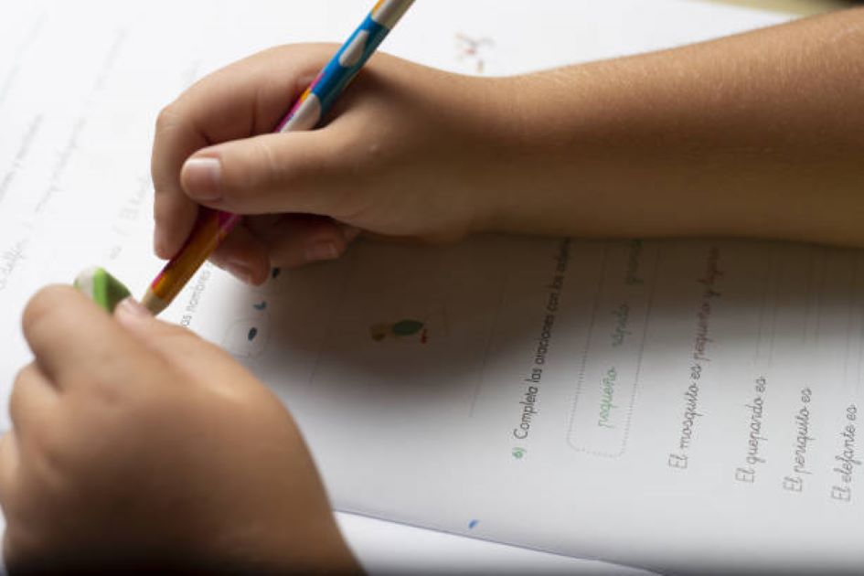 Punjabi Past Paper 2021 Evening Class 11 BISE Lahore