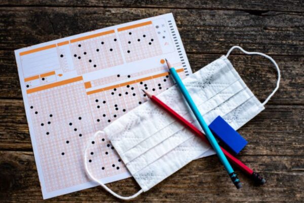 Statistics Paper 2019 Class 11 BISE Faisalabad