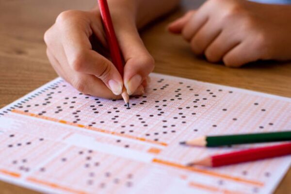 BISE Faisalabad 11th Class Sociology Past Paper 2024