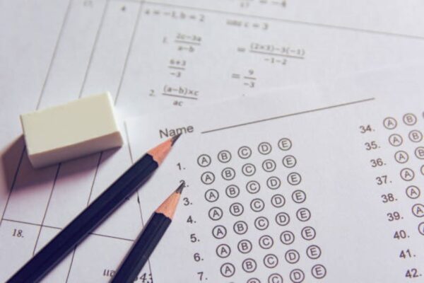 Class 11 Punjabi 2019 Evening Paper BISE Faisalabad