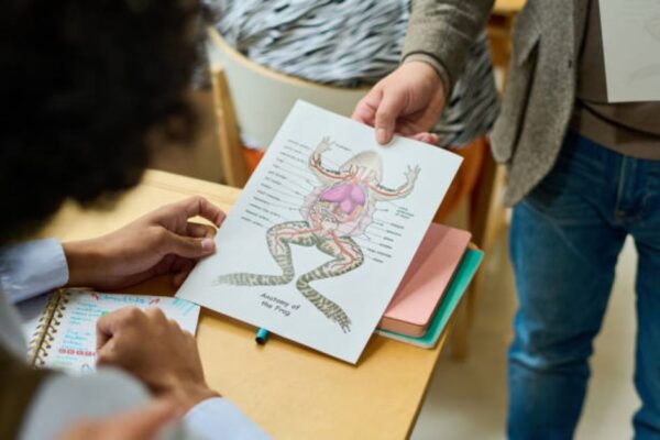 BISE DG Khan 2024 Biology Evening Past Paper – Class 11 Biology Past Paper 2024 Evening BISE DG Khan 11th Class