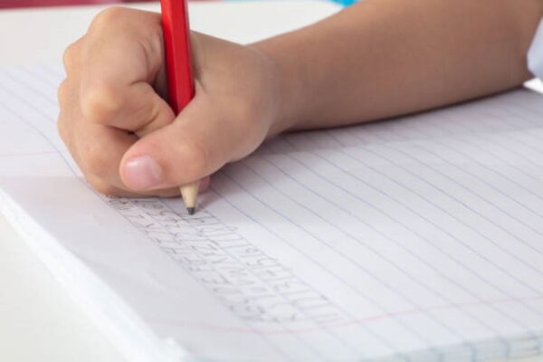 Punjabi Past Paper 2019 Morning Class 11 BISE Lahore