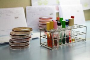 BISE Rawalpindi Class 11 Chemistry Past Paper 2024 Evening