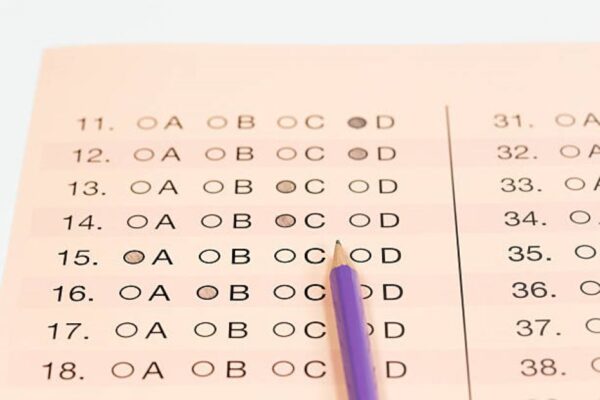 BISE Dera Gazi Khan Class 11 Punjabi Past Paper 2019