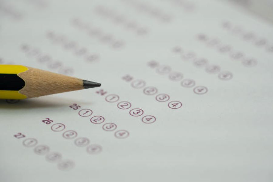 BISE Faisalabad Punjabi 2018 Part-II Evening Paper