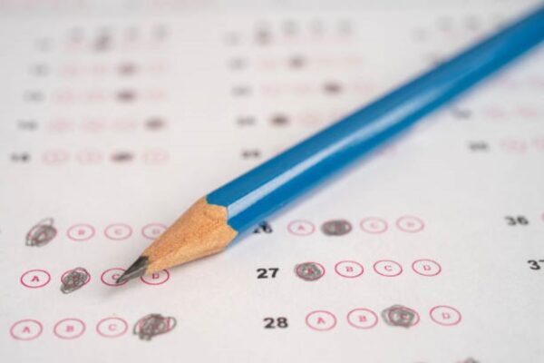 BISE Faisalabad Punjabi 2024 Morning Past Paper