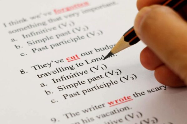 BISE Faisalabad English Past Paper 2023