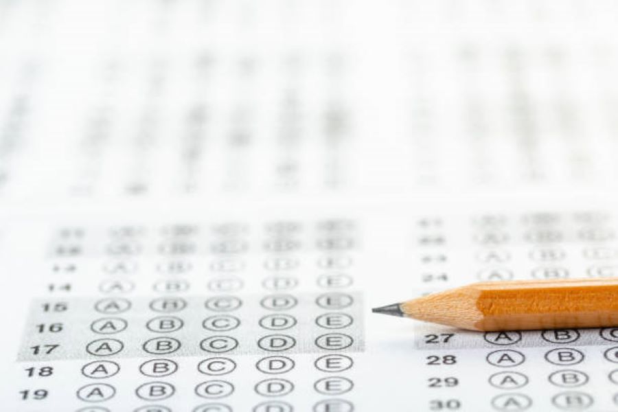 Punjabi past paper 2019 part-2