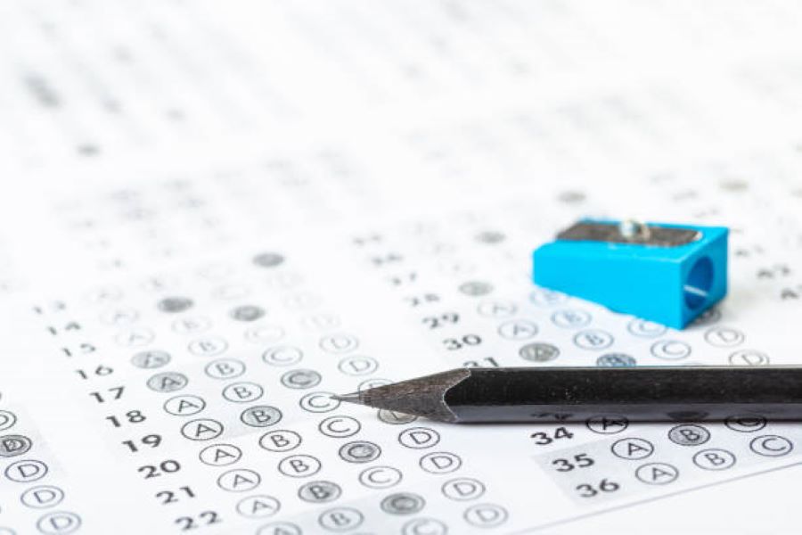 Punjabi past paper 2023 part-2