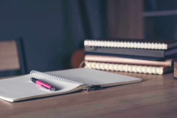 BISE Multan Punjabi inter Part-II 2023 Paper