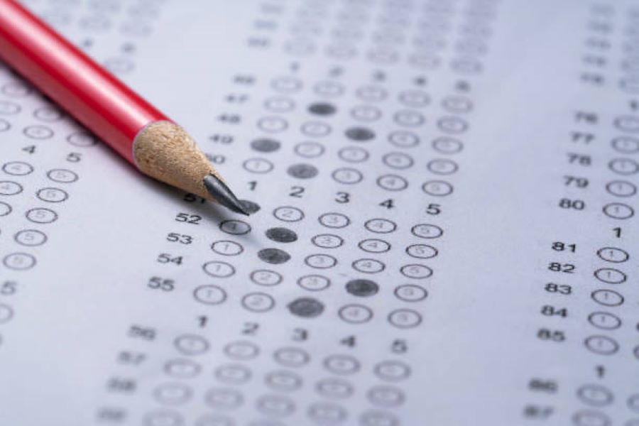 Punjabi past paper 2024 part-2