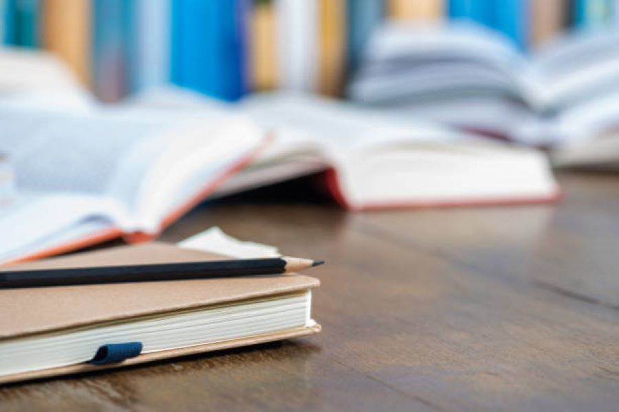 Pakistan Studies 2024 Morning Paper DG Khan