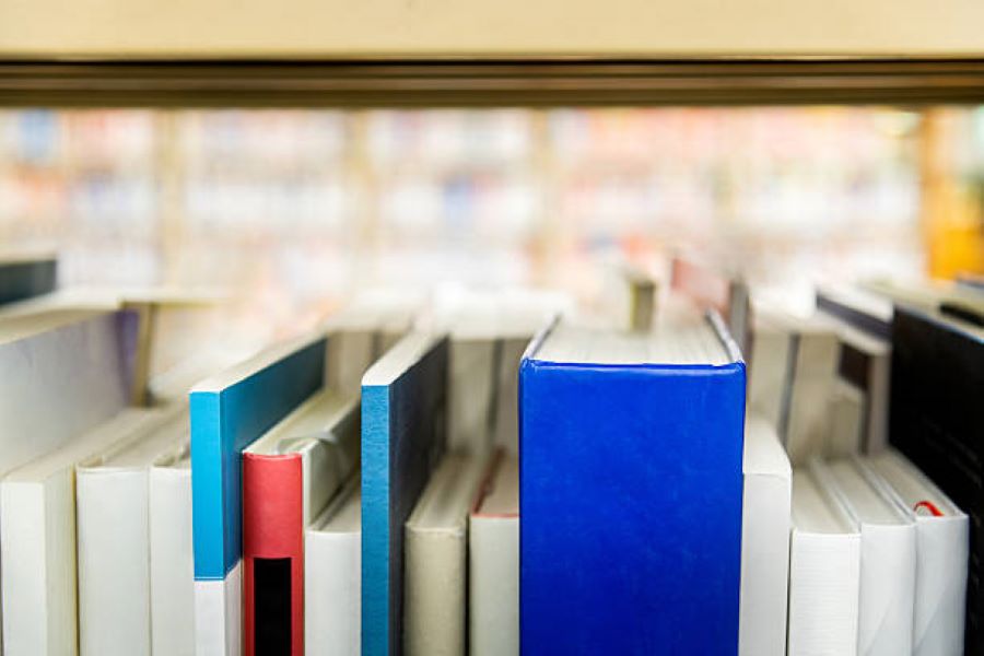 Pakistan Studies Part-II Annual 2023 Evening Multan Board