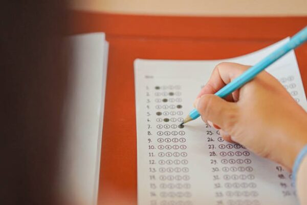 BISE Lahore Pakistan Studies Past Paper 2019 Annual Part-II, Group-II (Evening)