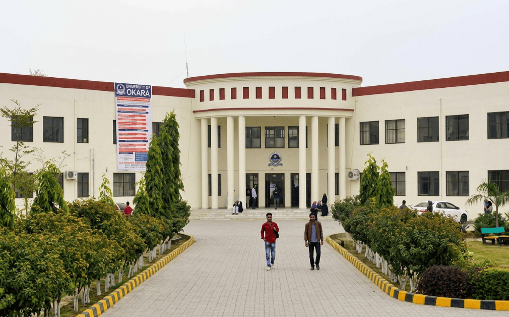 University of Okara