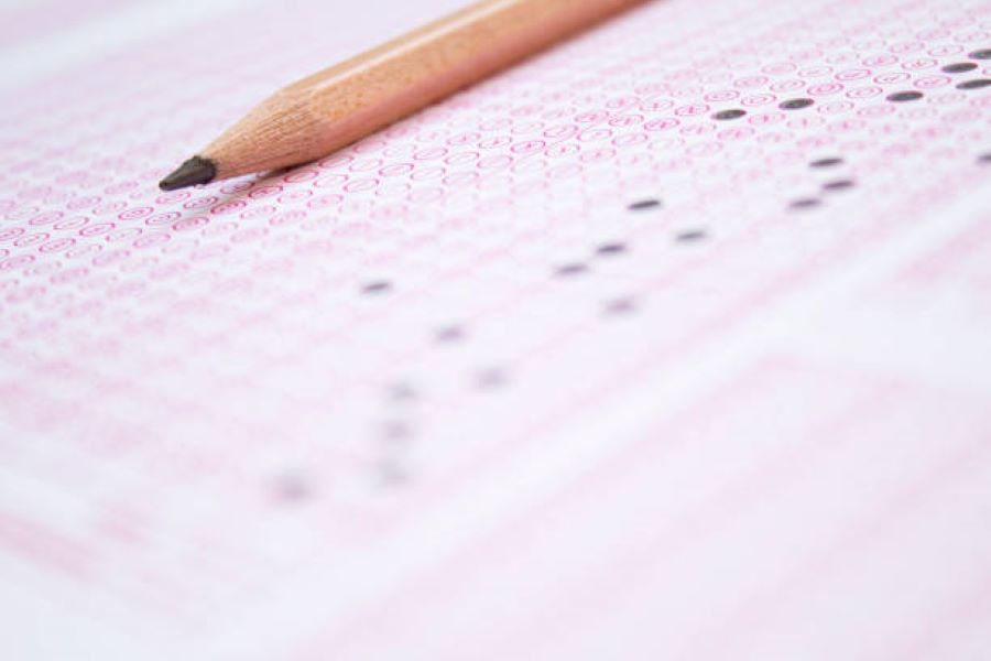 Biology 2019 Past Paper BISE Sargodha