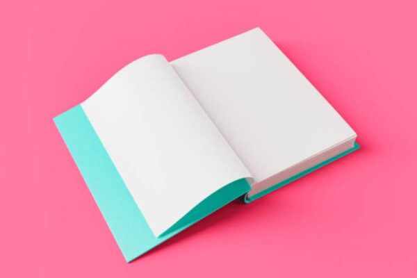 BISE Rawalpindi Intermediate Part-II Civics Past Paper 2023