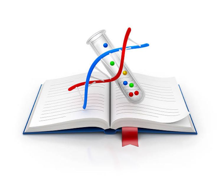 BISE Rawalpindi 2023 Chemistry past paper Part-II morning