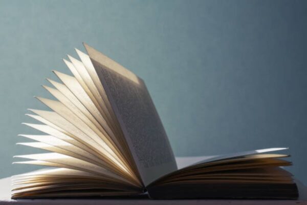 BISE Rawalpindi Intermediate Part-II Civics Past Paper 2024