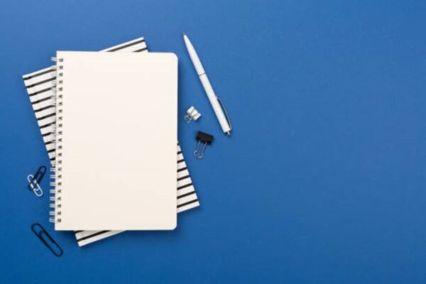 BISE Rawalpindi Punjabi Past Paper Part-II 2024