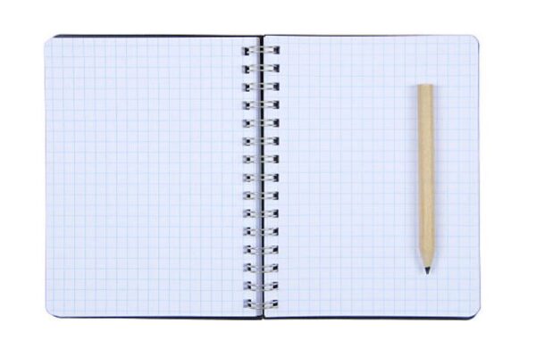 Gujranwala Pakistan Studies 2024 Evening Paper