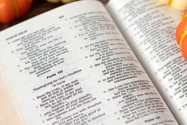 BISE Rawalpindi Psychology Part-II Past Paper 2024