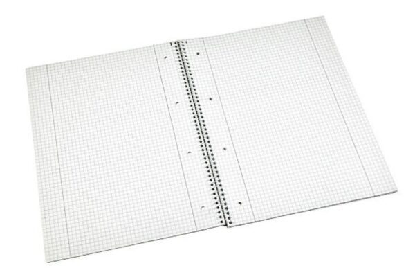 BISE Gujranwala English Past Paper 2024 Morning 2nd year