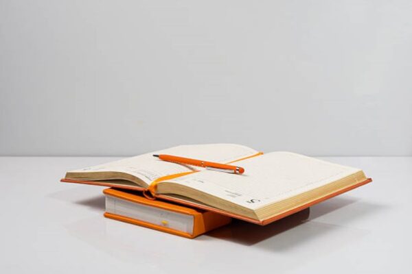 BISE Gujranwala English Past Paper 2019 Morning 2nd year