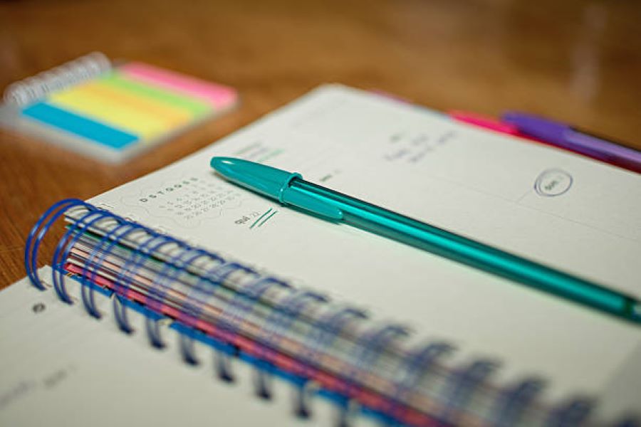 Gujranwala Pakistan Studies 2019 Evening Paper