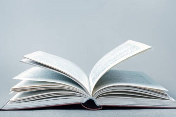 BISE Rawalpindi Intermediate Part-II Civics Past Paper 2019