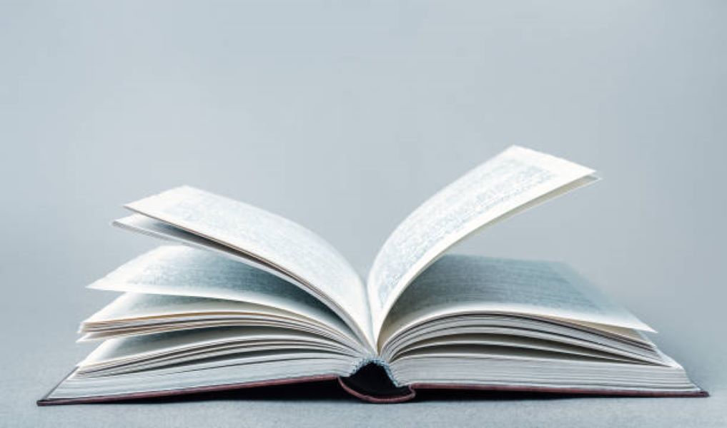 BISE Rawalpindi Intermediate Part-II Civics Past Paper 2019