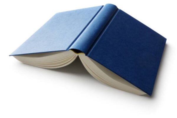 English Past Paper 2019 Morning Bawalpur Board