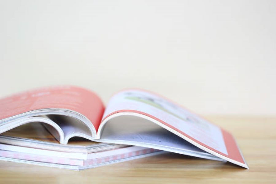 BISE Rawalpindi Sociology 2023 Past Papers