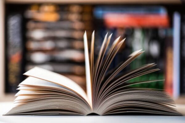 BISE Sargodha Economics Past Paper 2018