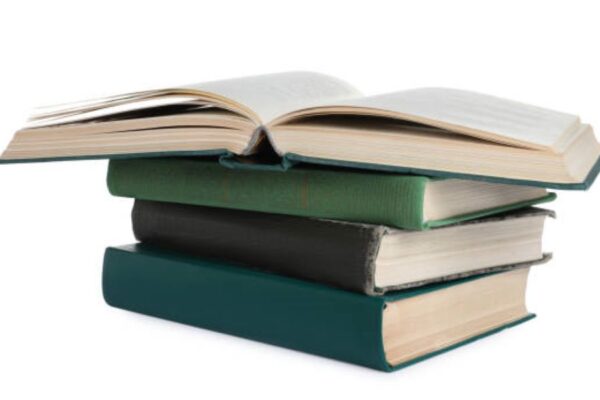 Sargodha Board 2021 Punjabi Past Paper