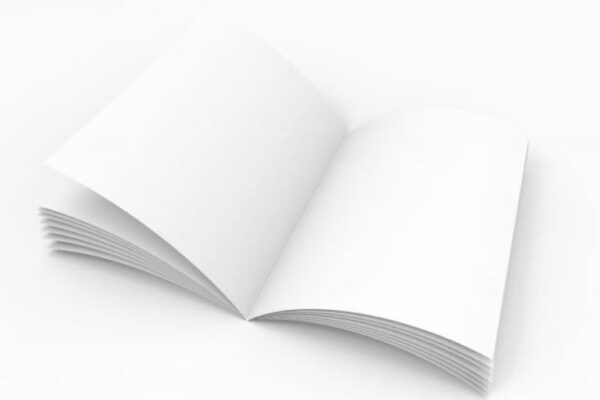 Sargodha Board 2022 Punjabi Past Paper