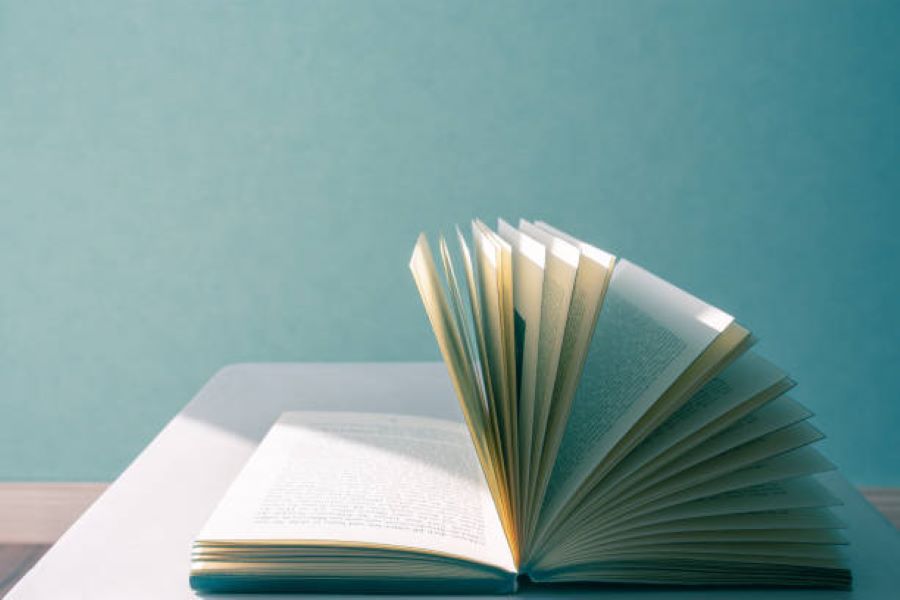 Class 12 Sociology 2023 Past Paper BISE Sargodha