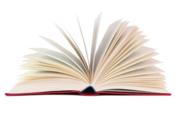 Sargodha Board 2023 Punjabi Past Paper