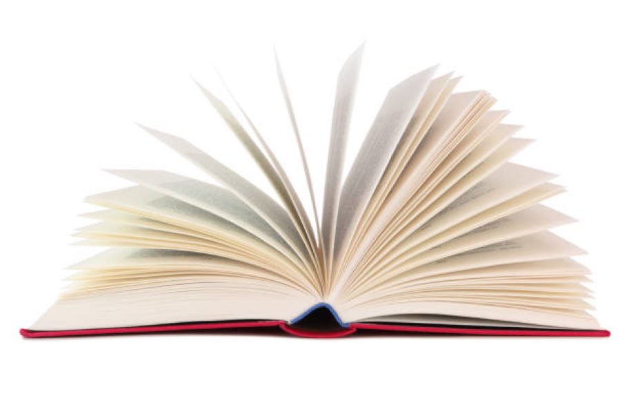 Sargodha Board 2023 Punjabi Past Paper