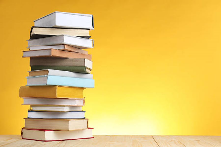 Sargodha Board 2024 Punjabi Past Paper