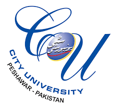 City University of Science and Information Technology