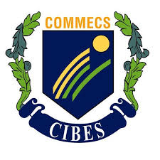 Commecs Institute of Business & Emerging Sciences