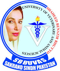 Shaheed Benazir Bhutto University of Veterinary & Animal Sciences