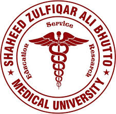 Shaheed Zulfiqar Ali Bhutto Medical University