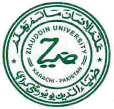 Zia-ud-Din University