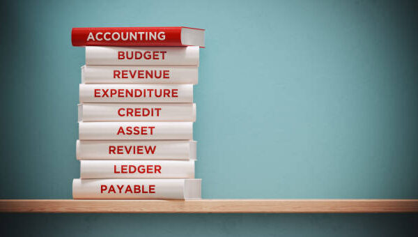 Principles of Accounting Past Paper 2024 BISE Bahawalpur Class 11