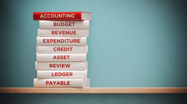 Principles of Accounting Past Paper 2024 BISE Bahawalpur Class 11